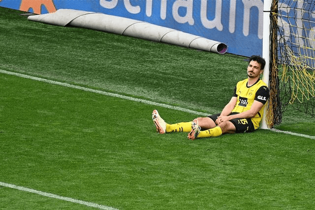 这位, yid, 可能性