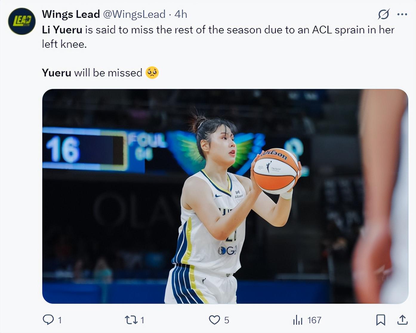 dingy, 我们得知一, img